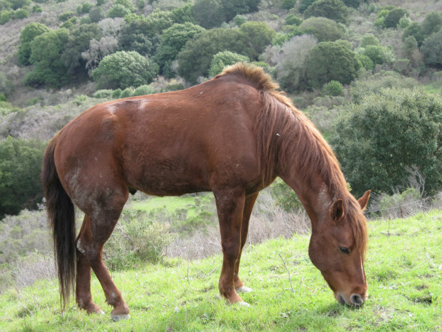 0 Clark Road, RICHMOND, California 94802, ,Lots And Land,For Sale,Clark Road,40966439
