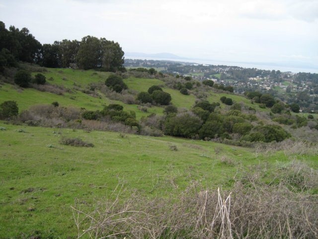 0 Clark Road, RICHMOND, California 94802, ,Lots And Land,For Sale,Clark Road,40966439